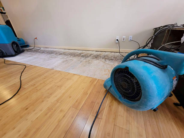 Reliable Basement Flood Cleanup contractor in Crestline, CA by Hirex Water Damage