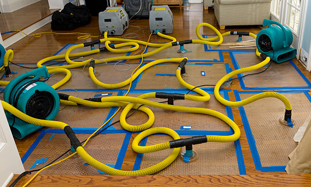 Professional Basement Flood Cleanup technician working in Crestline, CA